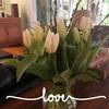 linda_campbell